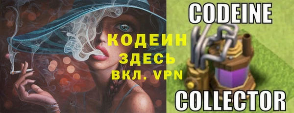 гидра Карпинск