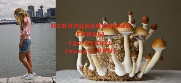 кокаин премиум Карталы