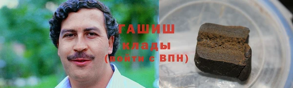 гидра Карпинск