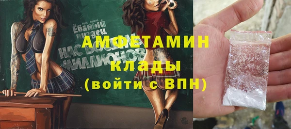 гидра Карпинск