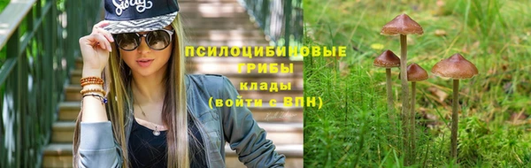 меф Каменногорск