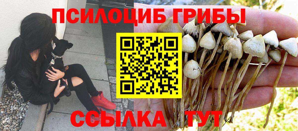 Кинешма  Псилоцибиновые грибы мицелий  Галлюциногенные грибы мицелий  Вход с VPN 