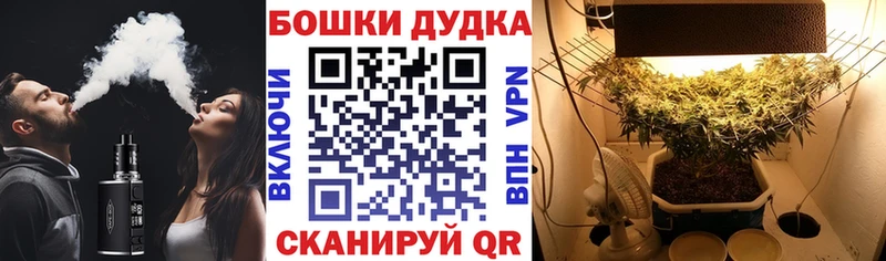 Бошки марихуана Ganja  даркнет сайт  Кинешма 